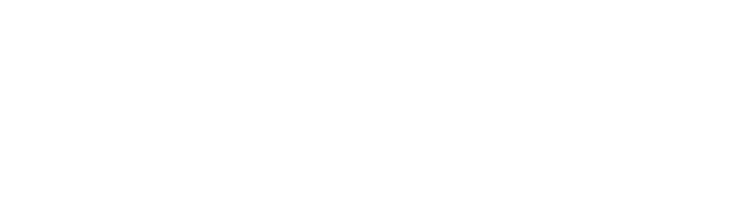 Vivid Solution
